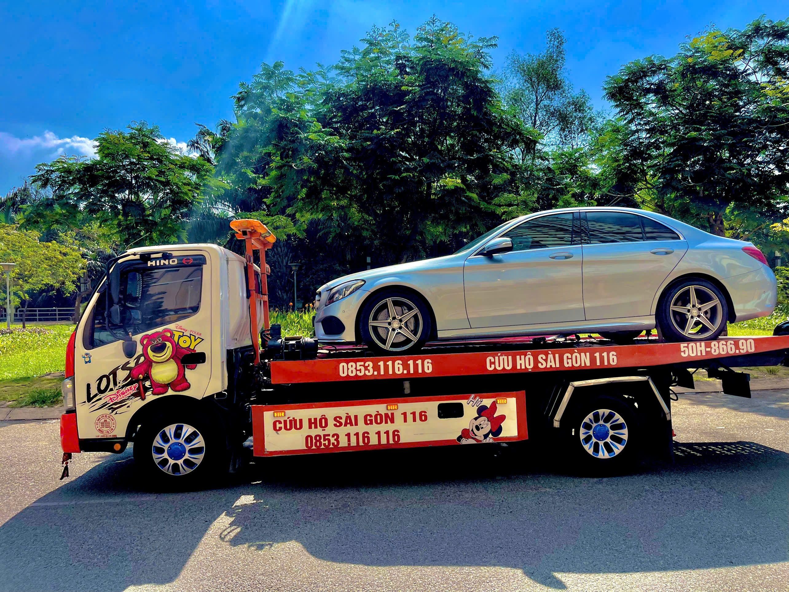 Professional Mechanic